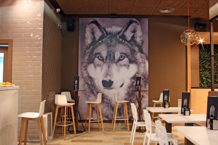 ociales para Lobo Donosti